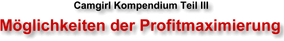 Camgirl Kompendium III - Möglichkeiten der Profitmaximierung