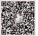 Ein online QR-Code Generator für Camgirls.